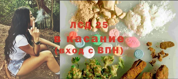 стаф Арсеньев