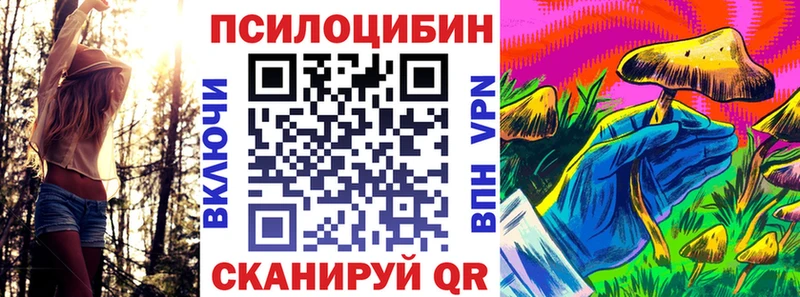Купить  Лиски  Псилоцибиновые грибы Cubensis 